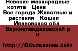 Невские маскарадные котята › Цена ­ 15 000 - Все города Животные и растения » Кошки   . Ивановская обл.,Верхнеландеховский р-н